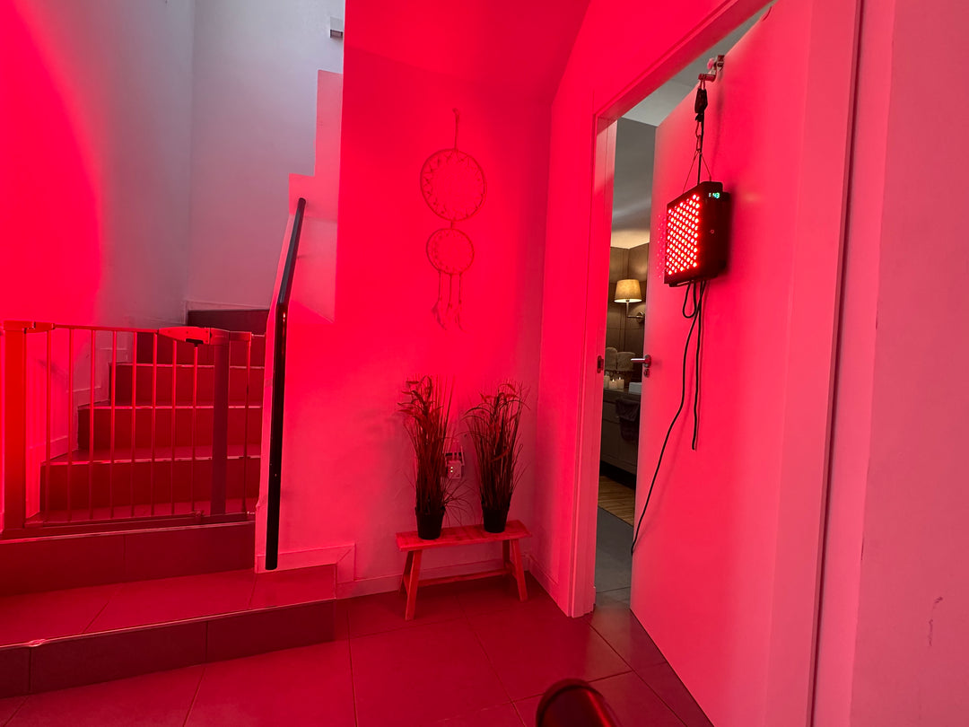 NanoHERO500 - Leistungsstarke Rotlichtlampe