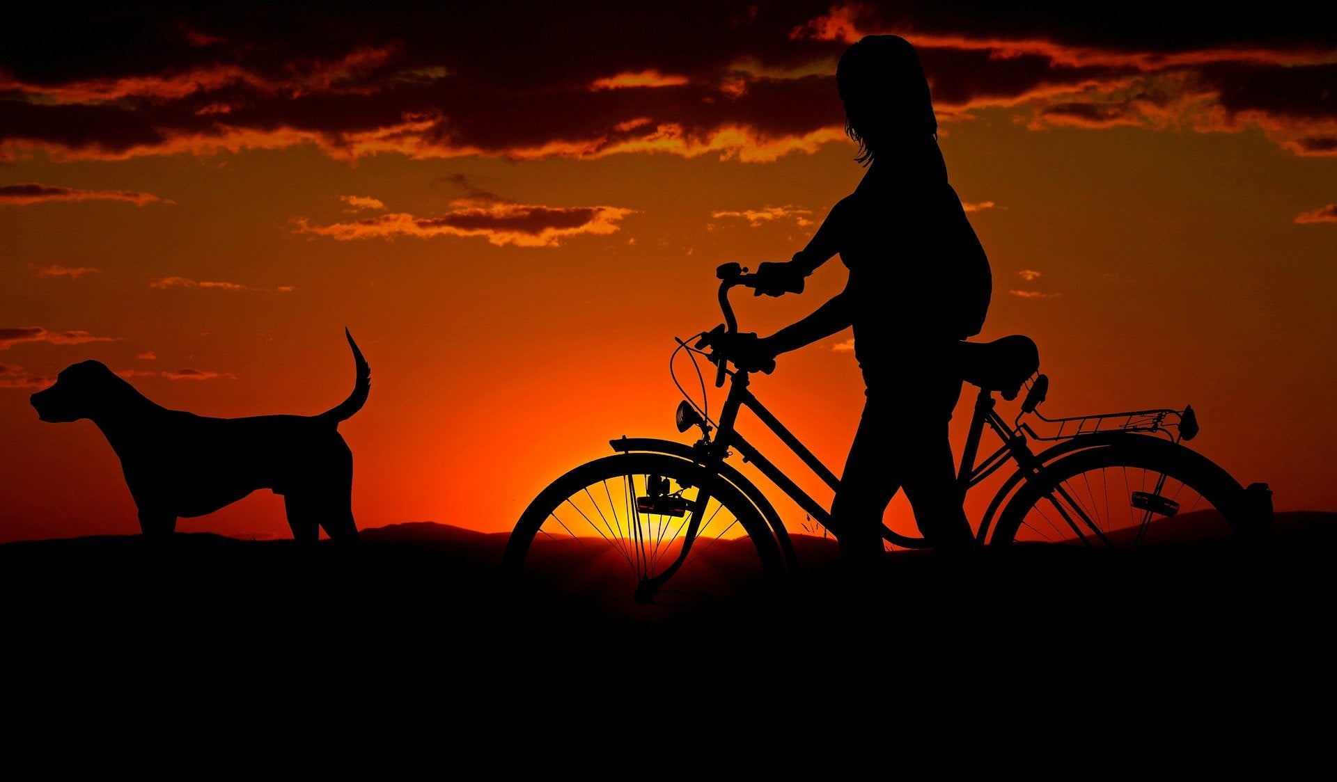 Spaziergang Hund und Frau mit Fahrrad vor Sonnenuntergang 