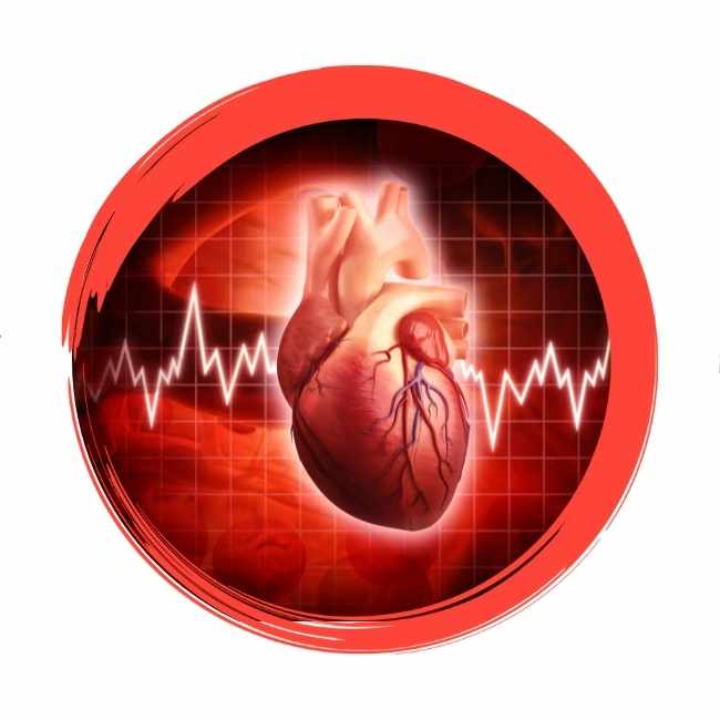 Roter Kreis Icon menschliches Herz
